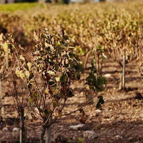 Foto 4 di 12, apri a grandezza piena