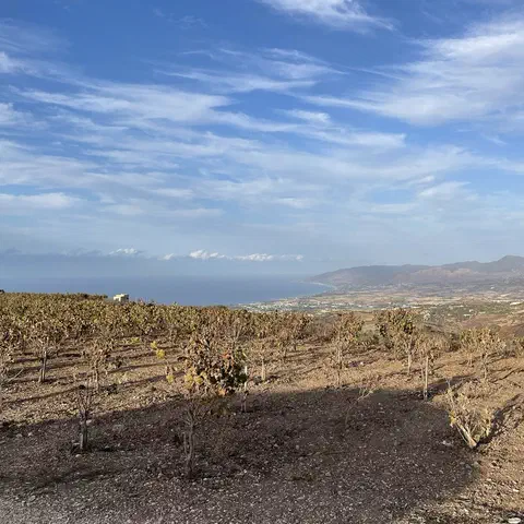 Foto 5 di 12, apri a grandezza piena