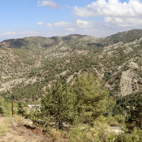 Foto 6 di 12, apri a grandezza piena