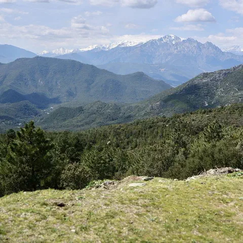 Foto 1 di 12, apri a grandezza piena