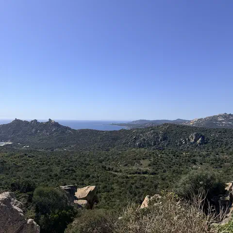Foto 5 di 12, apri a grandezza piena