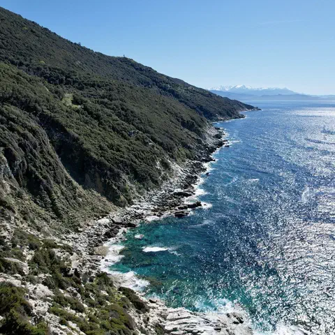 Foto 12 di 12, apri a grandezza piena