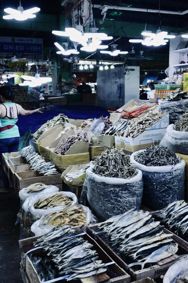 Banchi di pesce essiccato al mercato Taboan di Cebu