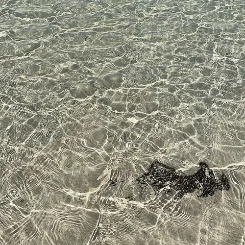 Foto 2 di 13, apri a grandezza piena