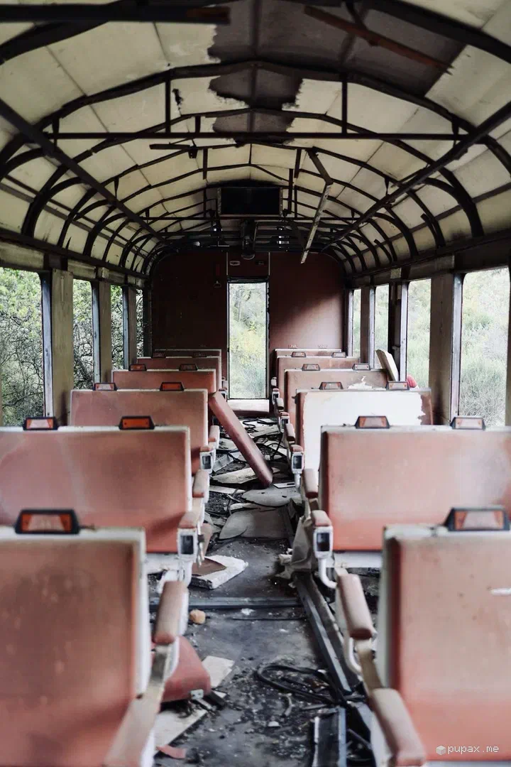 L'interno di una carrozza abbandonata ad Achladokampos, tra sedili rossi e graffiti