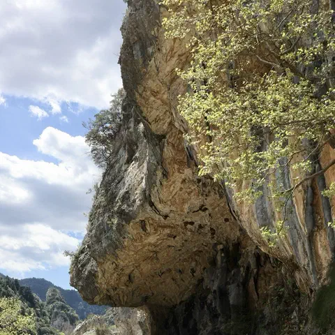 Foto 5 di 12, apri a grandezza piena