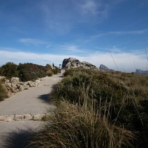 Foto 7 di 13, apri a grandezza piena