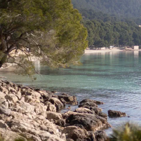 Foto 9 di 13, apri a grandezza piena