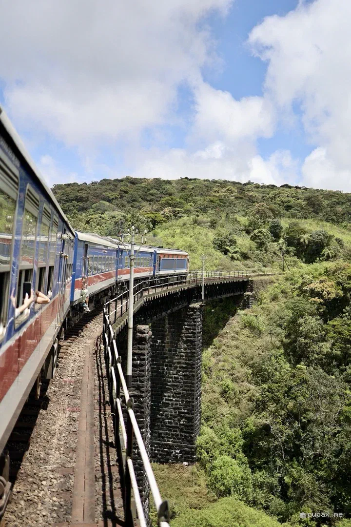 Il treno blu su un viadotto tra le colline, visto dal finestrino