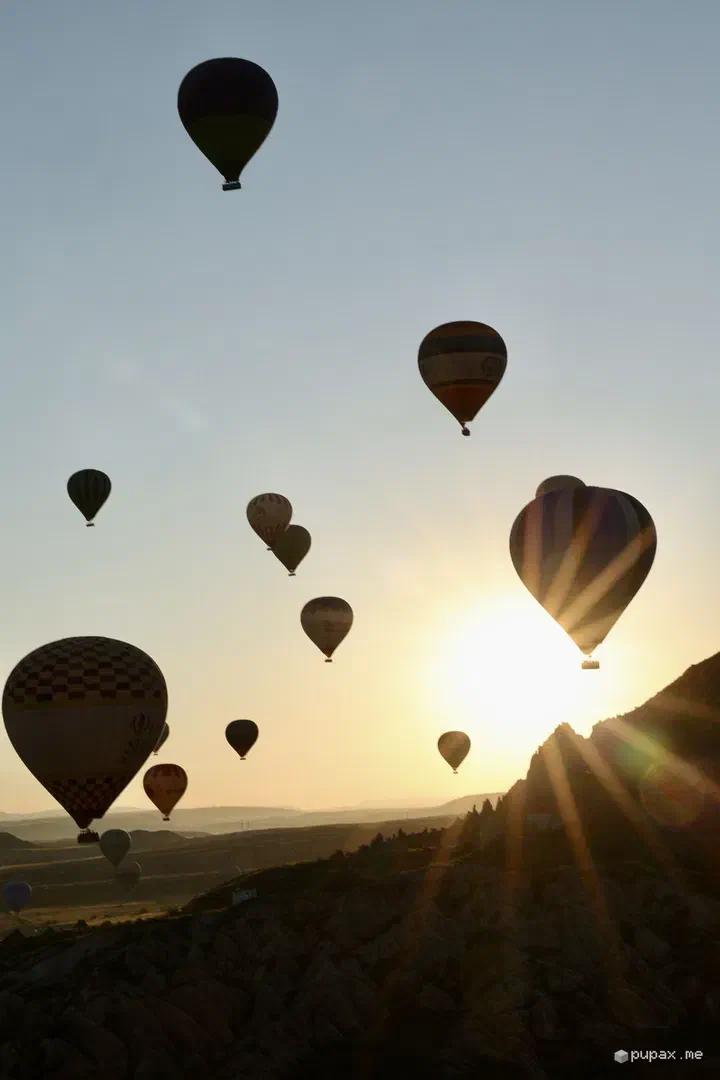 Le sagome delle mongolfiere contro il sole che sorge