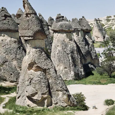 Foto 8 di 12, apri a grandezza piena